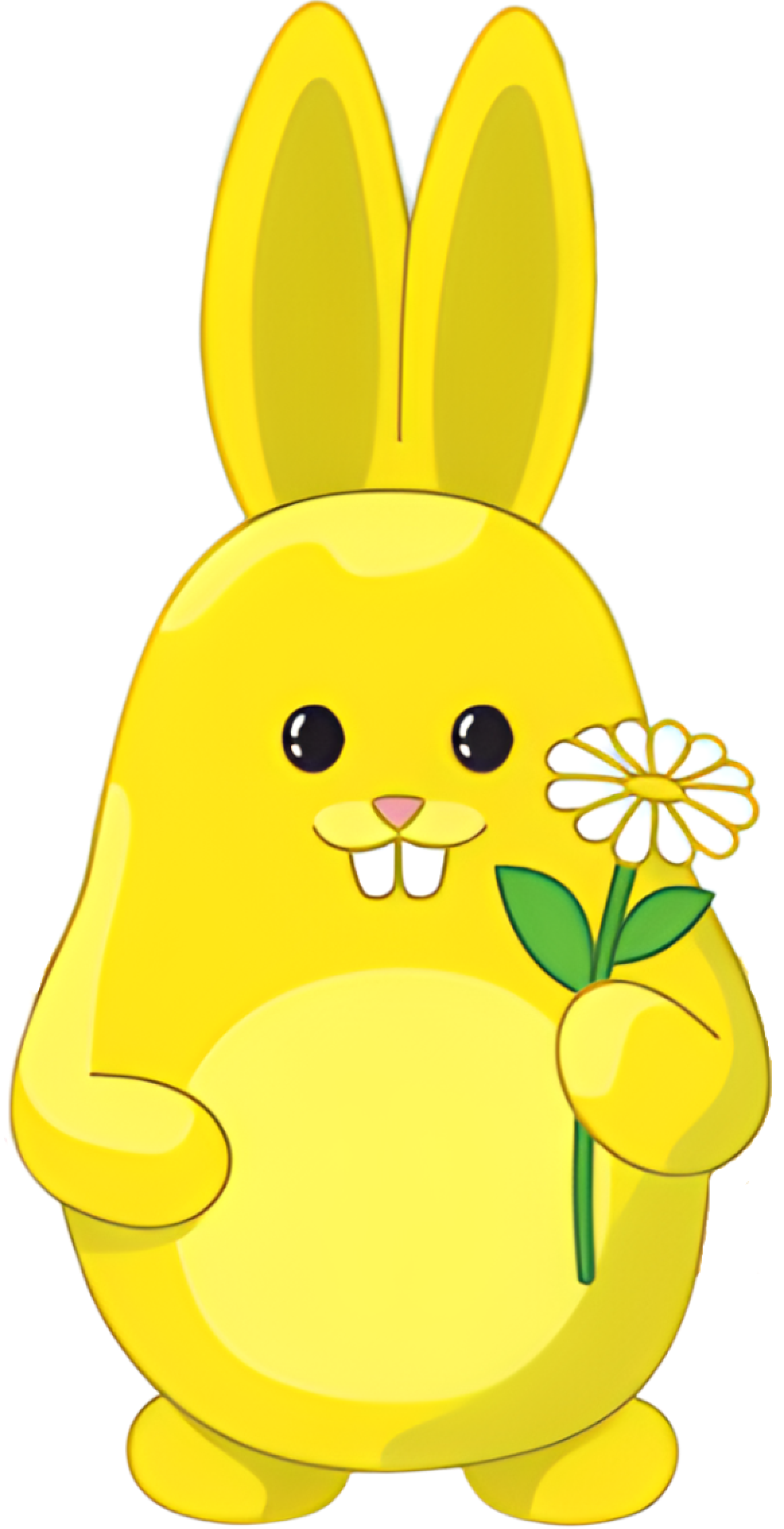 rabbit